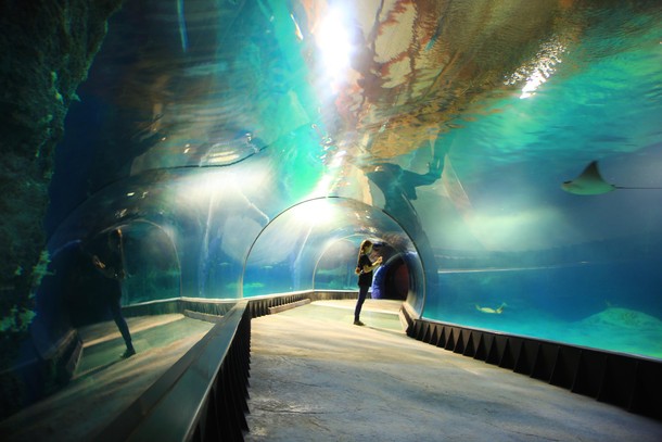 ZOO Wrocław Afrykarium Afryka zwierzęta oceanarium