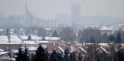 Rzeszów - jakiej pogody możemy się spodziewać 2019-02-13?