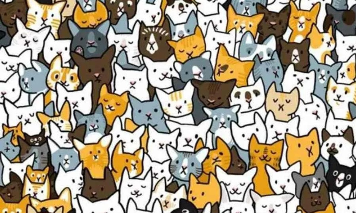 Wszyscy widzą koty. Ale tylko sokole oko zauważy na obrazku królika