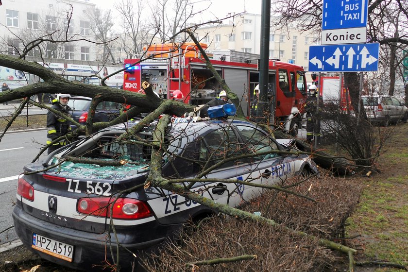 Radiowóz skosił drzewo po zderzeniu z osobówką 