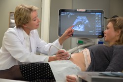 Na co do kina? Bridget Jones, Warski, Królestwo i Blair Witch