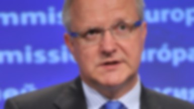 Rehn: przed Europą krytyczne 10 dni, by odpowiedzieć na kryzys