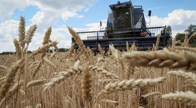 Nigeria set to receive grain imports from Ukraine despite the war 