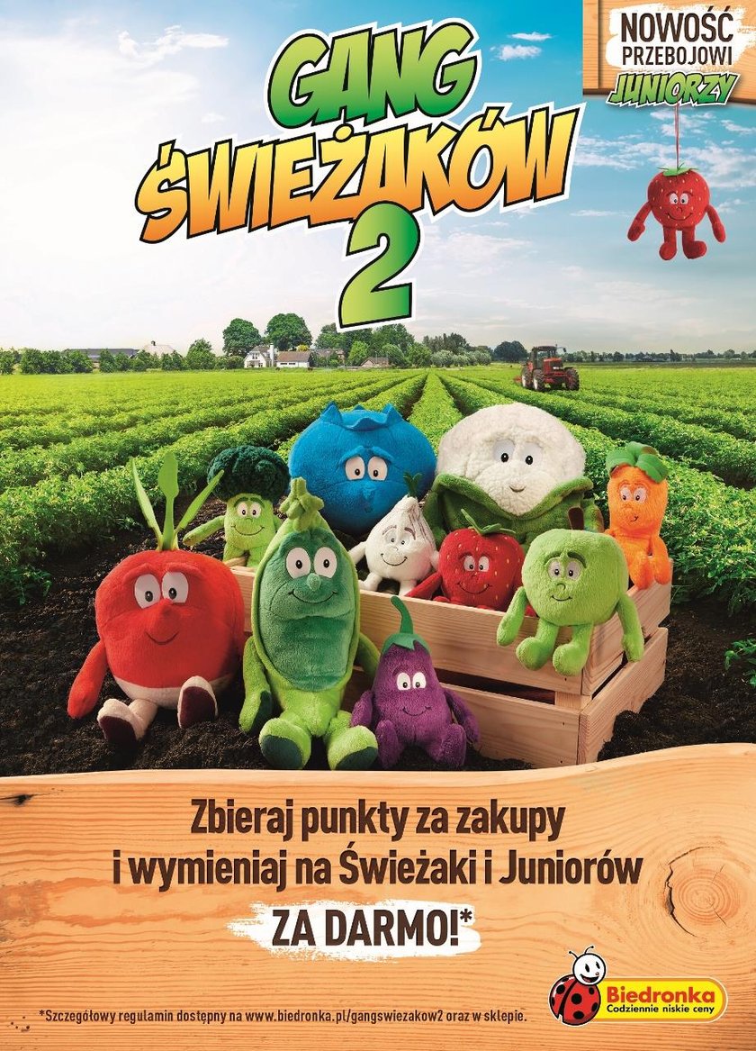 Gang Świeżaków 2