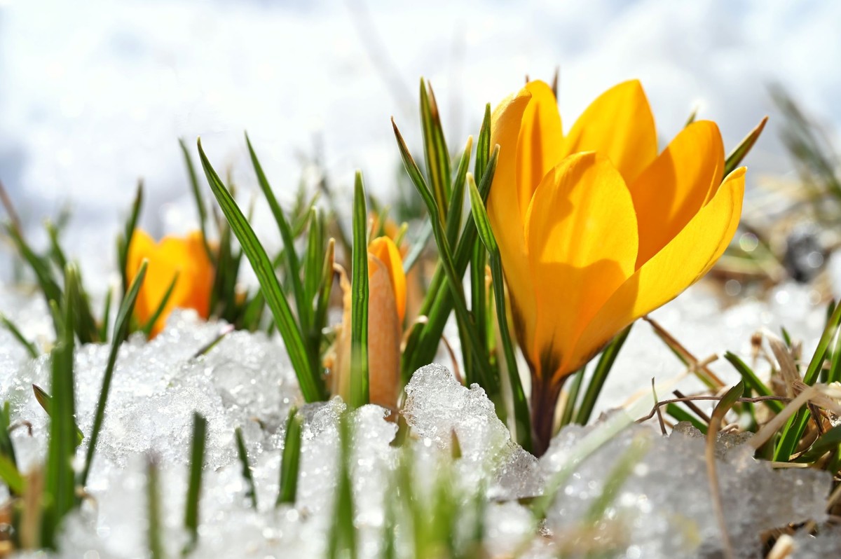 Pogoda długoterminowa na marzec