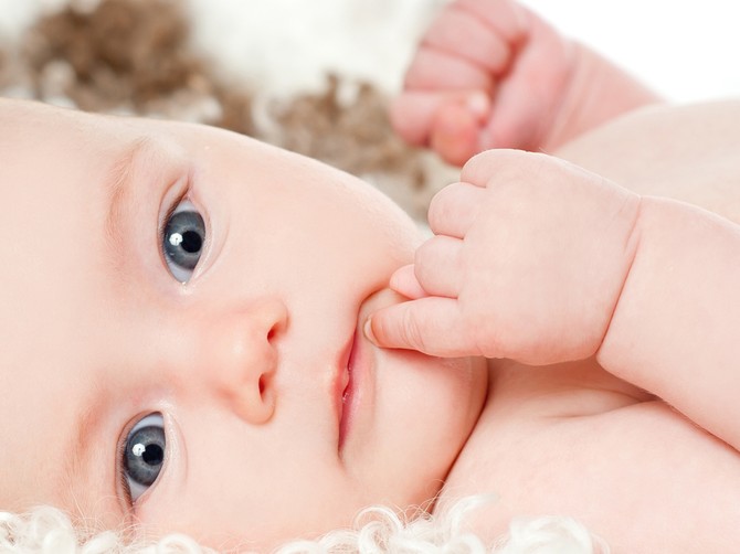 39091_beba-usne-shutterstock-87186751