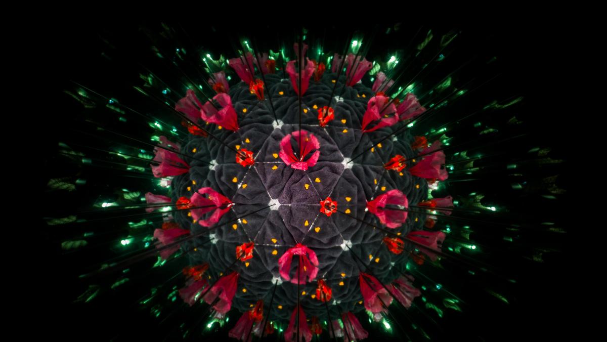 Model of Human Coronavirus particle created with kaleidoscope