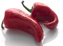 Serwis randkowy dla ekologów