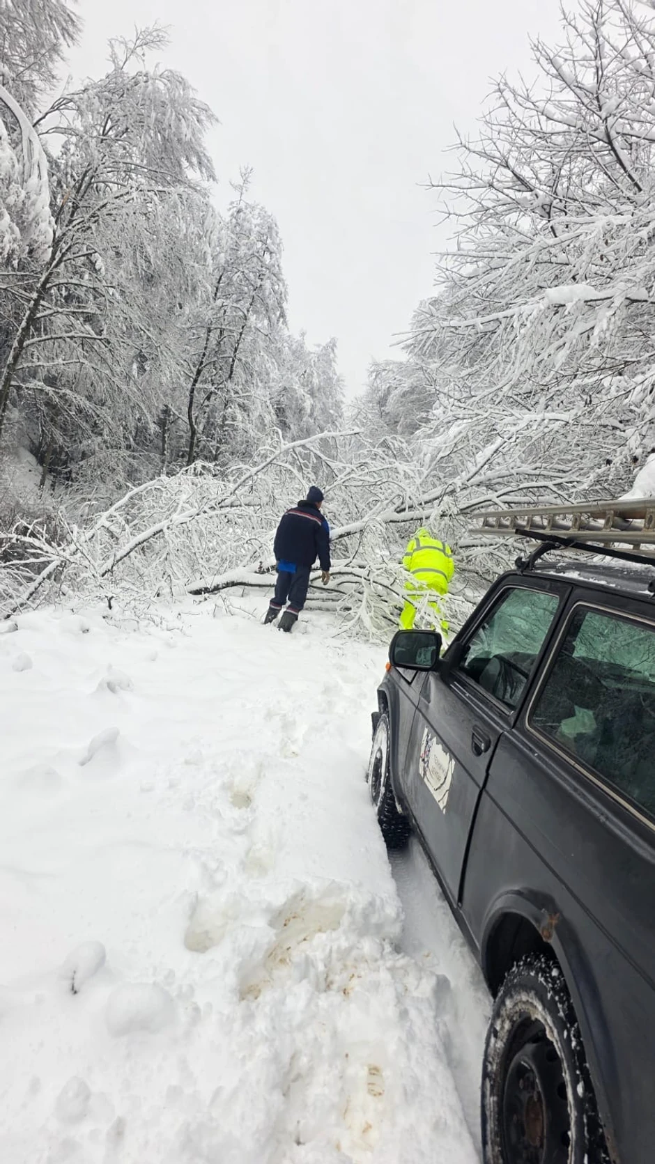Kvarovi su često na nepristupačnim mestima