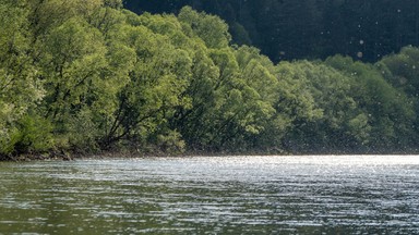 Niebezpiecznie na Dunajcu. 54-latek uratowany przed utonięciem, w innym miejscu utonęła jedna osoba