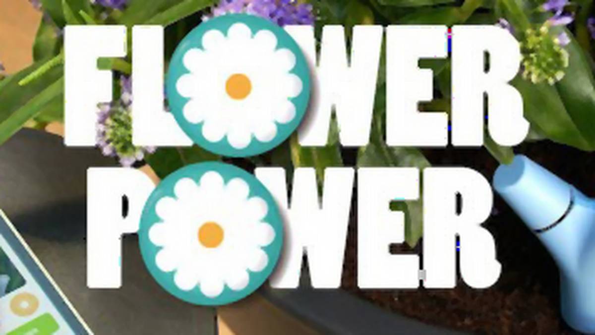 Parrot Flower Power - czujnik i aplikacja pomogą w pielęgnacji roślin
