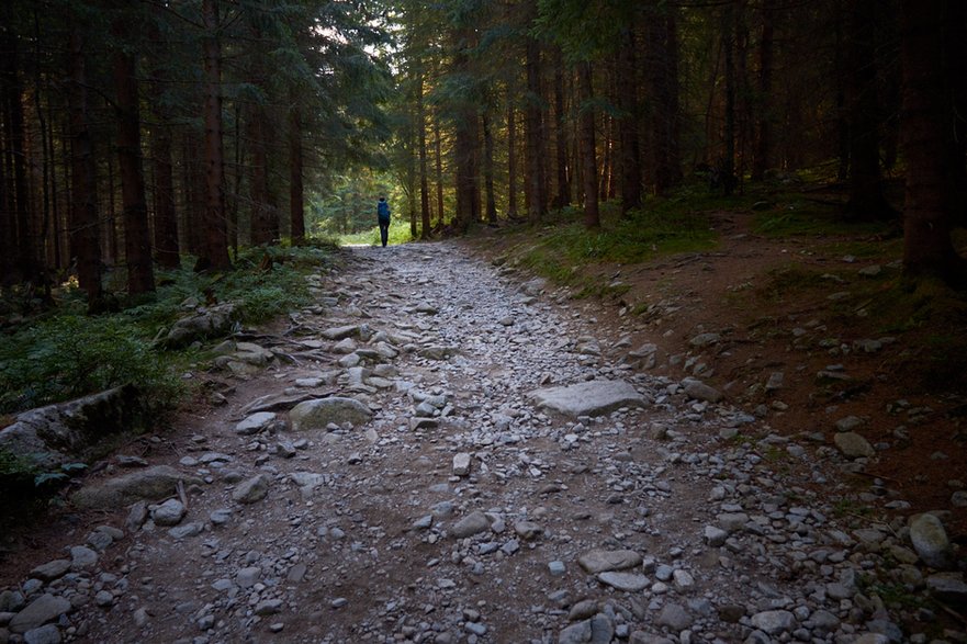 Poranek w Dolinie Rohackiej