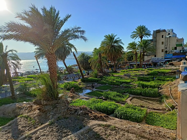 Aqaba