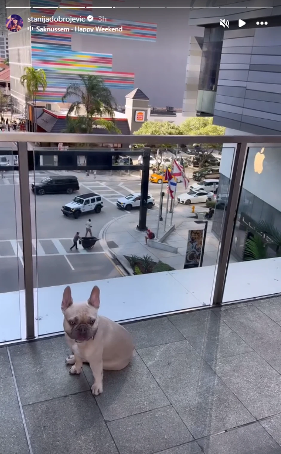 Stanija Dobrojević, objava iz Majamija