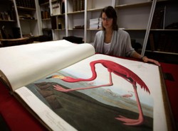 Oto najdroższa książka w historii