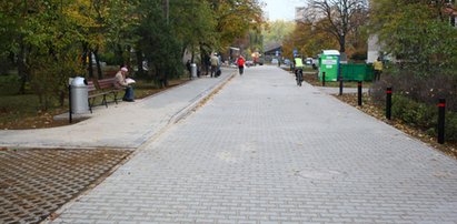 Łojewska będzie jak autostrada