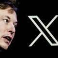 Ekspert ds. przywództwa z Harvardu: Elon Musk "zupełnie nie ogarnia" Twittera