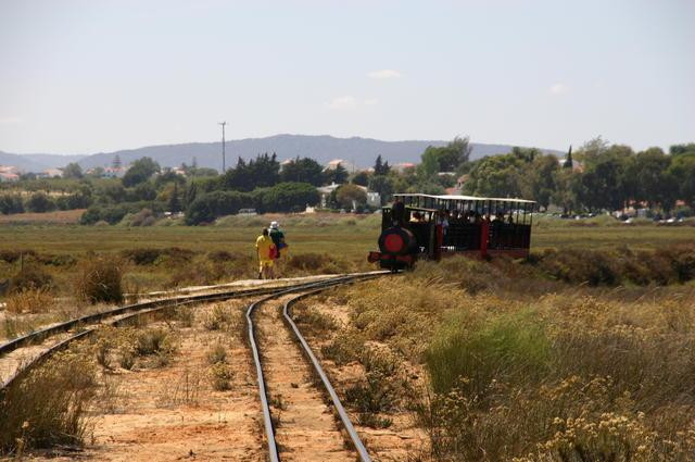 Galeria Portugalia - Algarve - Ria Formosa, obrazek 27