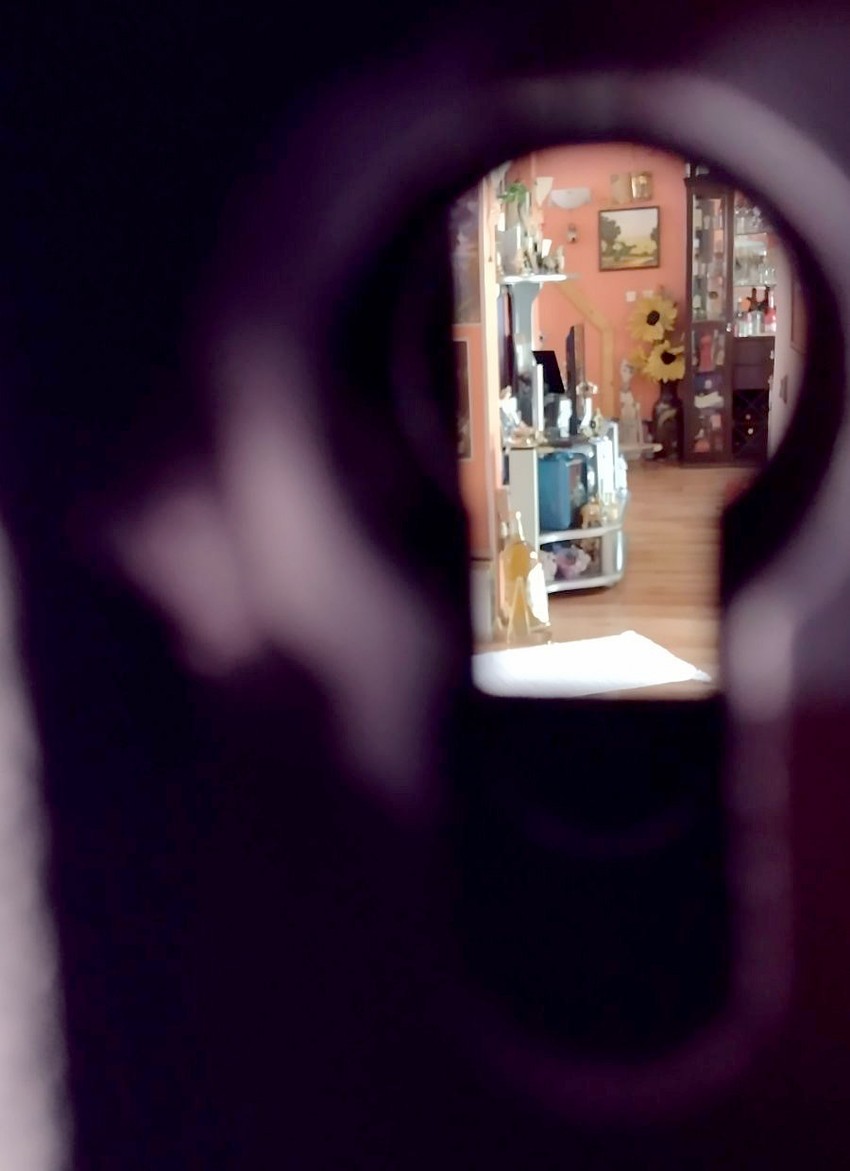 U stanu porodice Đokić sve izgleda u najboljem redu