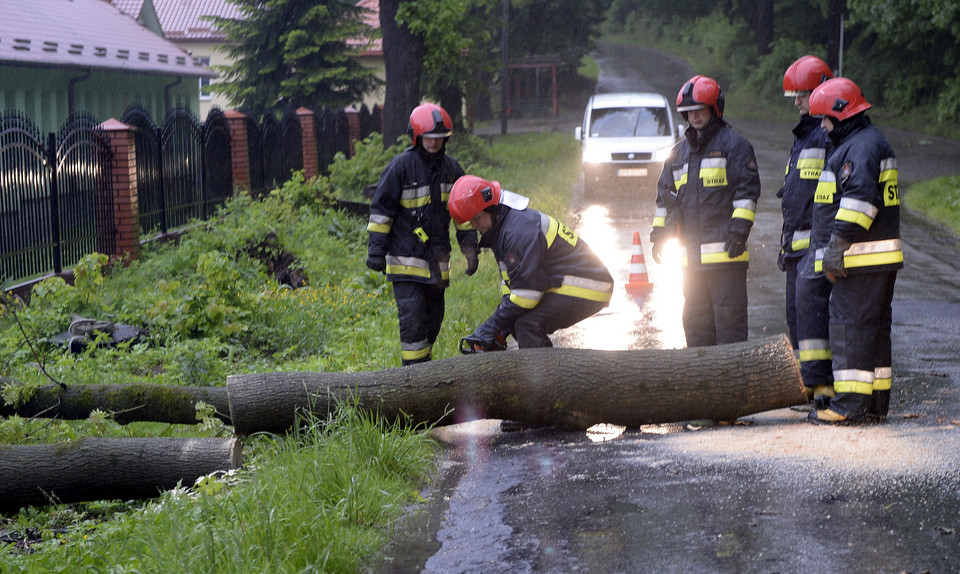 PRZEMYŚL POGODA OPADY DESZCZU WIATR (strażacy usuwają powalone drzewo)