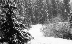 Idealna alternatywa dla Zakopanego? Oto podhalański azyl z najpiękniejszym widokiem na Tatry