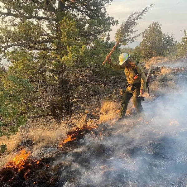 Smokejumpers podczas pracy