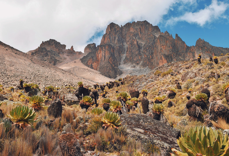 Mount Kenia