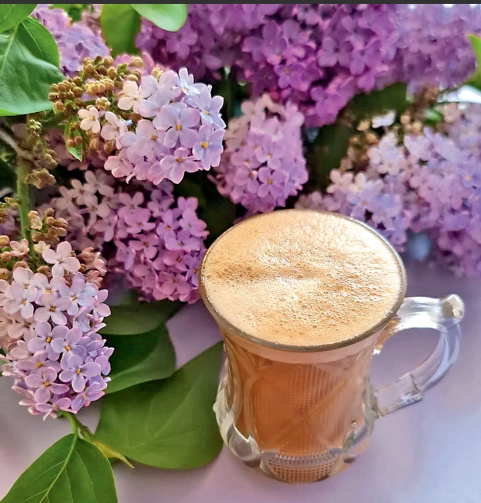 Dom Dragane Kosjerine