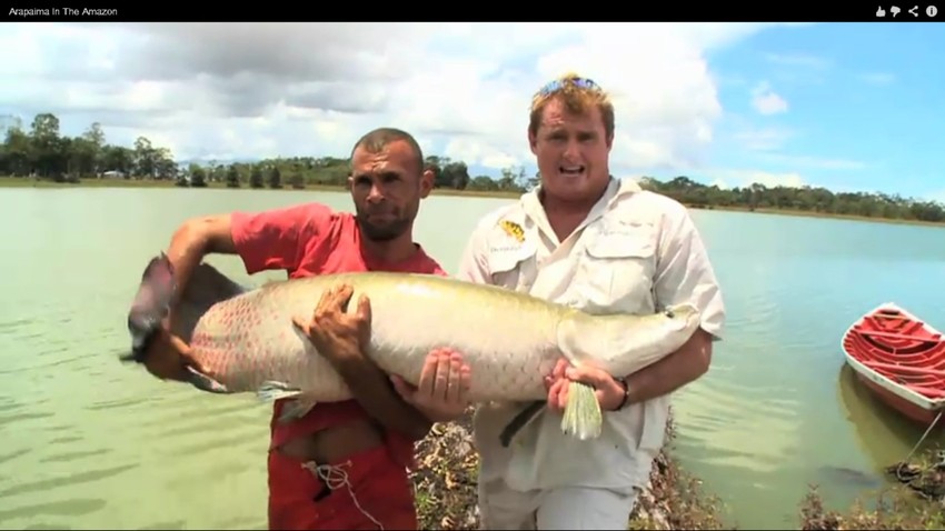 Veliki primerak arapaima upecao je i na Amazonu