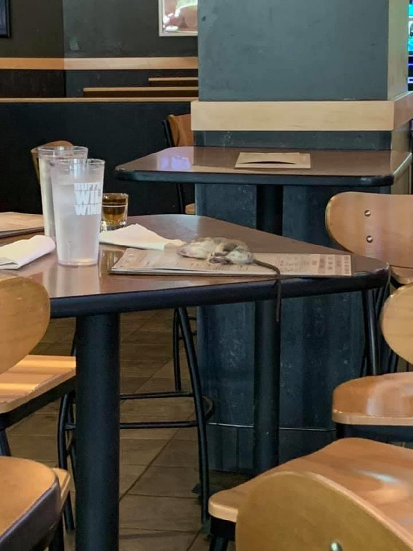 USA: Siedziała w restauracji. Nagle szczur spadł jej na stół