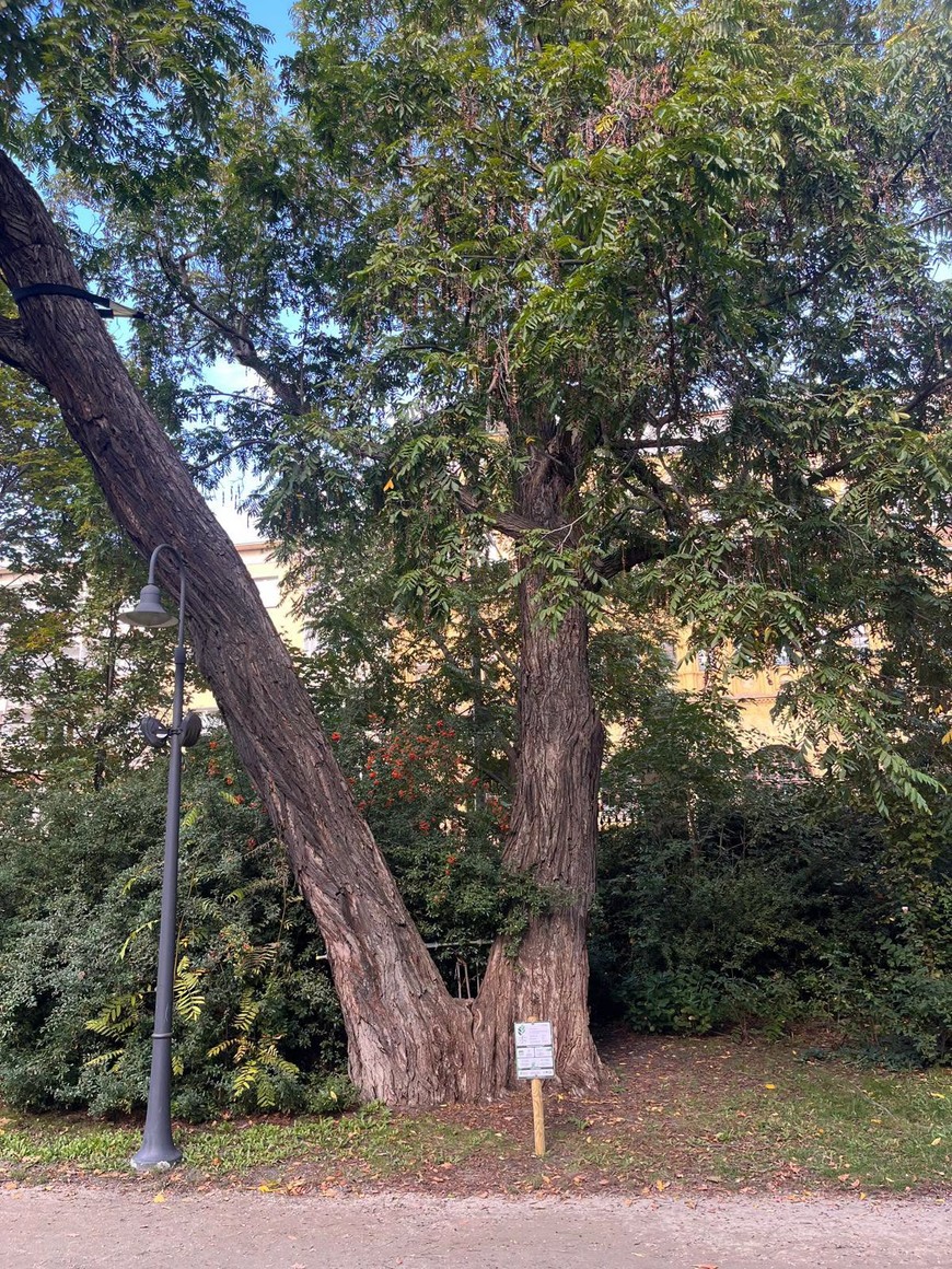 Organizatorzy zachęcają również do zgłaszania własnych ulubionych okazów.