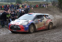 Szef Citroena: Zatrudnienie Kubicy nie jest dla nas priorytetem