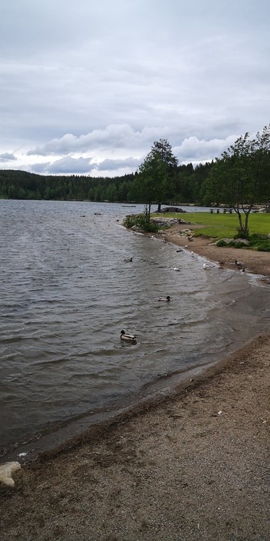 Songsvann på en overskyet dag