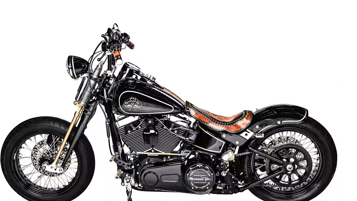 Harley-Davidson Softail 1584