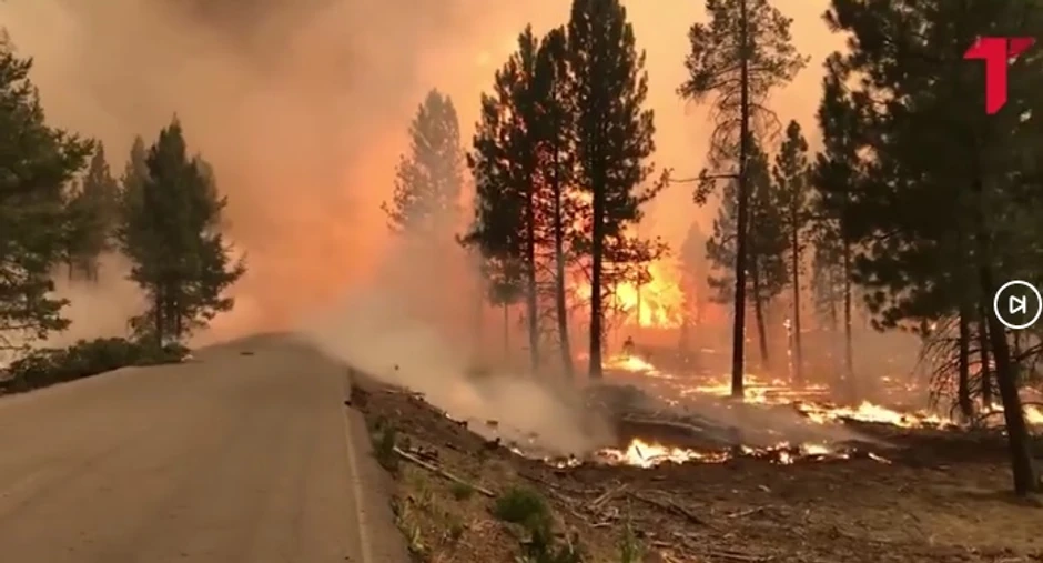 Požar kod Šibenika