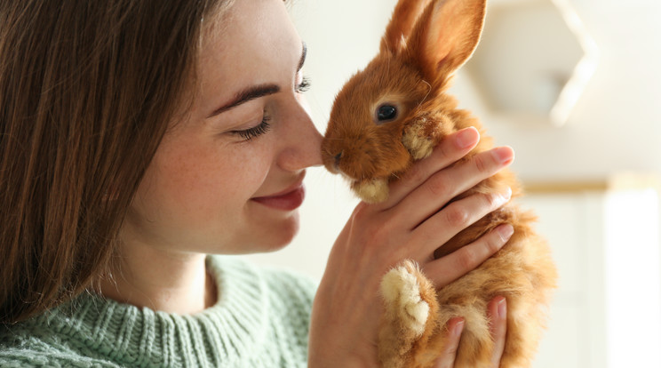 Fotó: Shutterstock