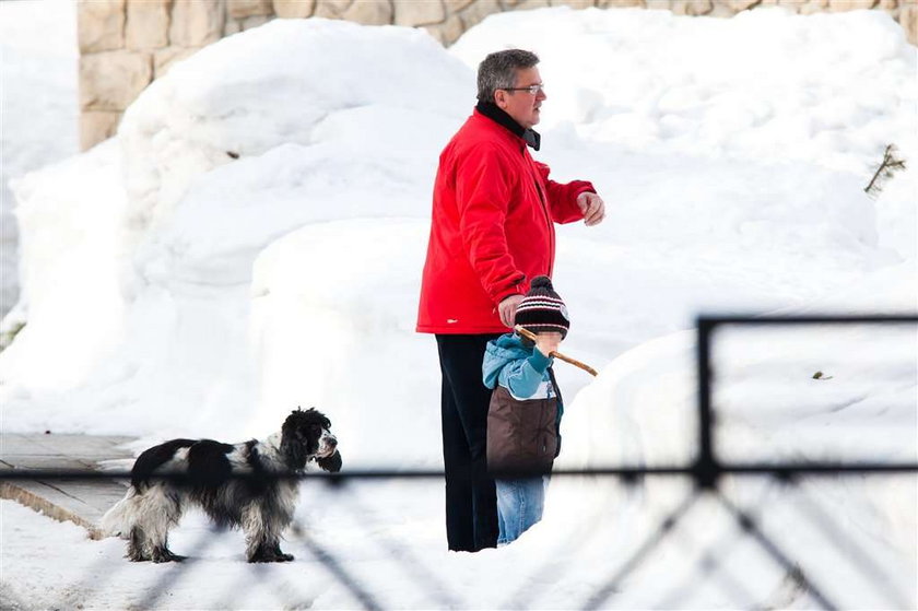 Staś Komorowski chce na sanki. Co na to dziadek? 