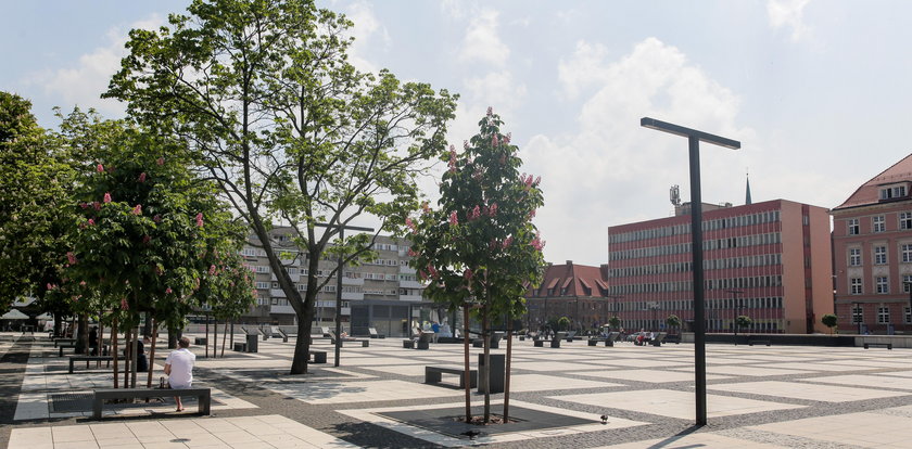 Wrocław będzie tętnić zielenią