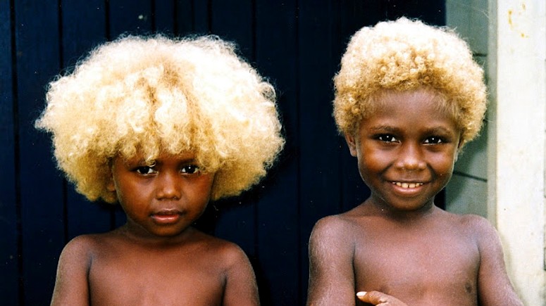 Melanesians Meet The World S Only Natural Black Blondes Pulse Nigeria