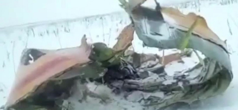 Katastrofa rosyjskiego samolotu pasażerskiego pod Moskwą. Minister transportu: Wszyscy zginęli