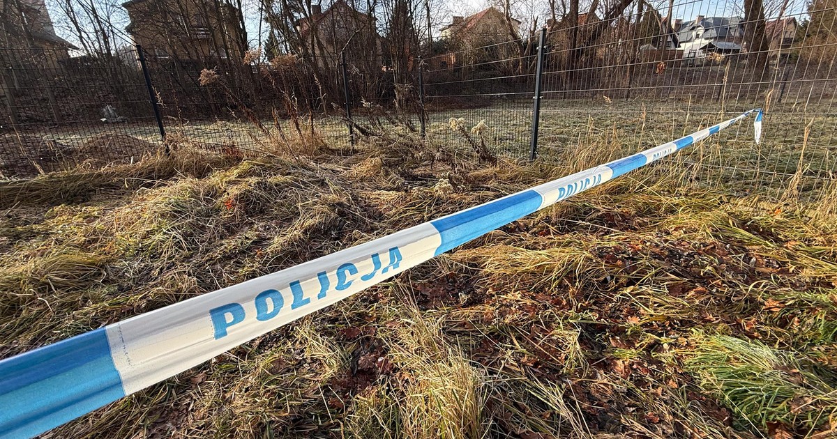 Do domu miała zaledwie kilka minut. Doszło do tragedii. Odtworzyliśmy drogę 11-latki