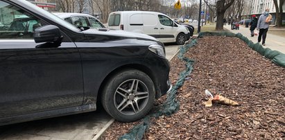 Mieszkańcy ulicy Rydygiera apelują: Nie niszczcie nam trawników