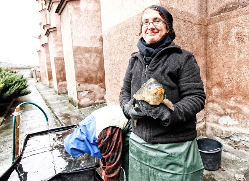 Siostry sprzedają karpie, żeby mieć na opał