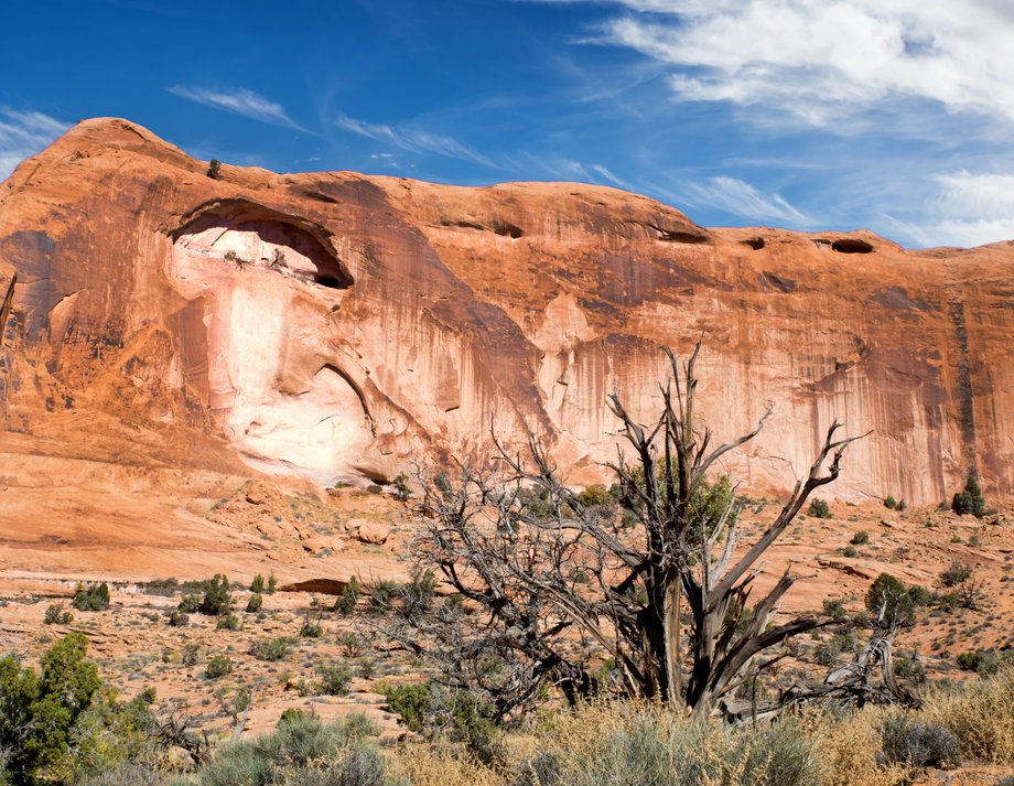 Wybierz się na przejażdzkę rowerową po szlaku Poison Spider Mesa w Moab, w stanie Utah, w USA.