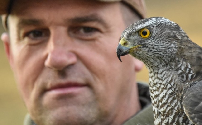 Elvir i njegov ljubimac