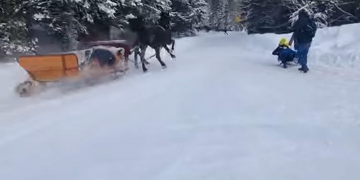 Zakopane. Spłoszone konie gnały prosto na turystów.