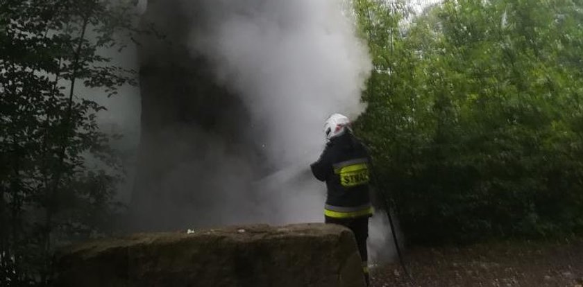 To się w głowie nie mieści! Ktoś podpalił 450-letniego Wincentego!