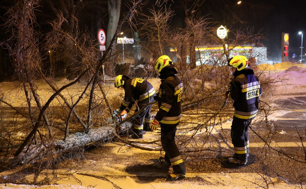 Huraganowy wiatr łamie drzewa w Zakopanem