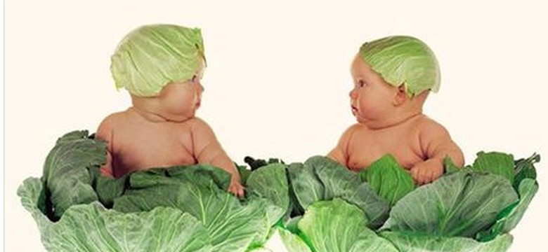 Anne Geddes od ponad 30 lat fotografuje niemowlęta w zabawnych kostiumach. Zobacz, co robią dziś jej dawni modele