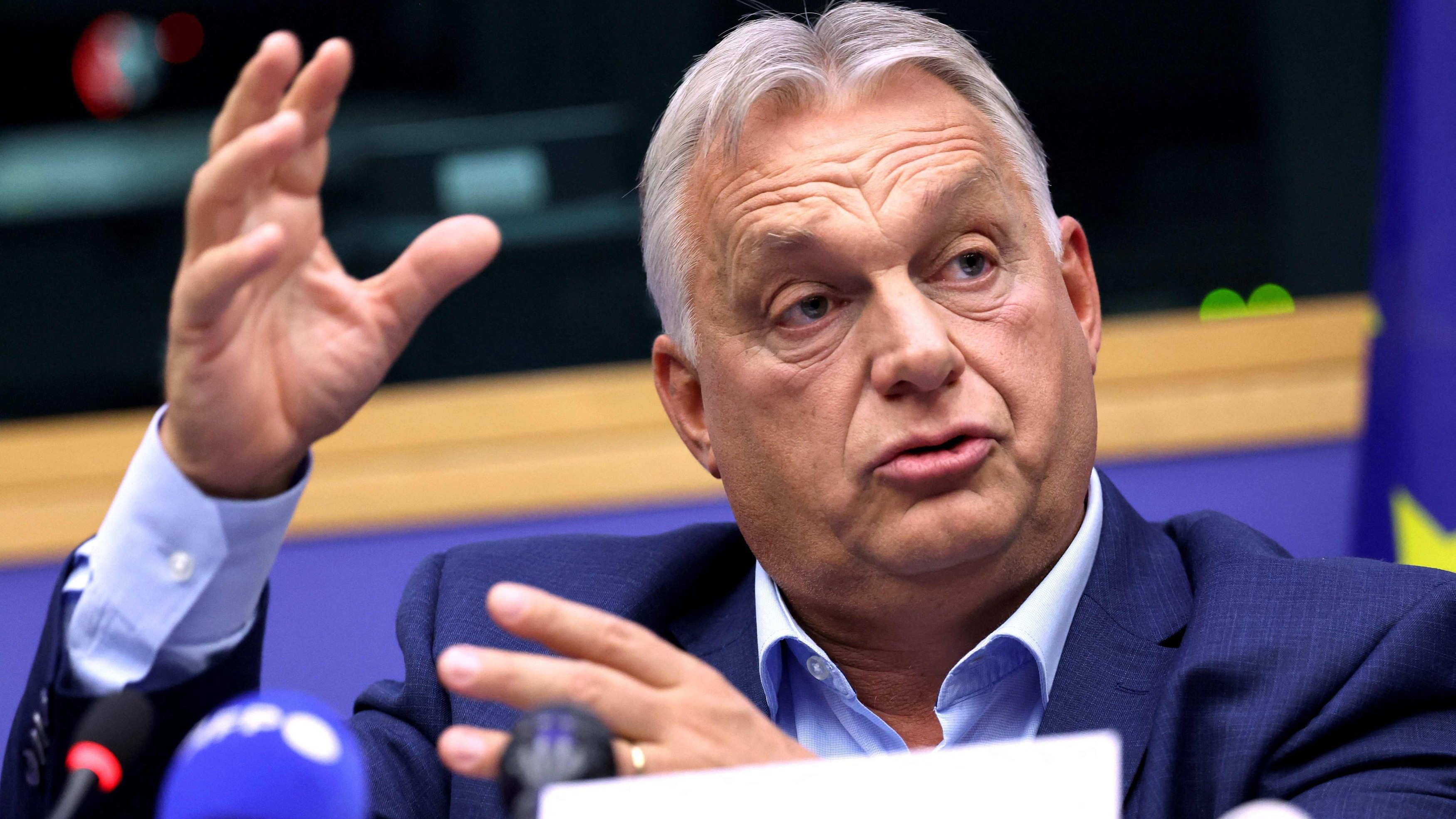 Viktor Orban, întrebat dacă partidul său ar putea să se alieze cu AfD-ul din Germania: „E exact ca în dragoste”